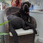 Monty Moore - @montymoore4 - Instagram