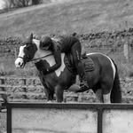 Leigh & Monty 🐴🦄 - @muddywelliesandmontycob - Instagram