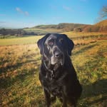 Jane Watson - @montywatson224 - Instagram