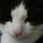 Monty - @monty_da_webb - Instagram