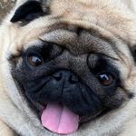 monty - @monty_webb - Instagram
