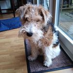 Monty Webb - @montywft2 - Instagram