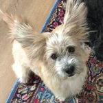 Monty Winterberg - @monty.winterberg - Instagram