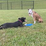 Winter and Monty - @monty.winter_rescue - Instagram