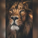 Monzer Khalil - @khalilmonzer61 - Instagram