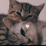 Monzer Khalil - Facebook