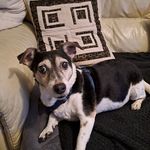 Morag Paterson - @morag.paterson.906 - Instagram