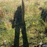 Morag Paterson : Leeming Paterson - @mog_pat - Instagram