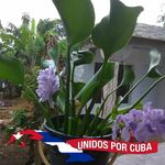 Moraima Martinez - @moraimamartinez1969 - Instagram