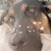 Morgan Allard - @morgan_allard - TikTok