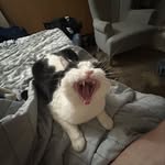 Morgan antrim - @antrim538 - Instagram