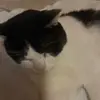 Morgan Antrim - @morgan.antrim1 - TikTok