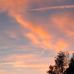Morgane Armanet - Facebook
