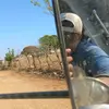 Morgan Arroyo Hernández - @morganarroyo16 - TikTok