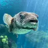 Morgan07 - @morganbachmann - TikTok