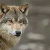morganbarnhart480 - @morganbarnhart480 - TikTok