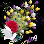 Morgan Barnwell - Facebook