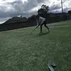 morganbarnwell4 - @morganbarnwell4 - TikTok