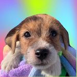 morgan bean 🇵🇦 - @morganbean.jrt - Instagram