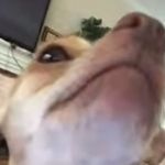 Morgan Behrens - @vitalorganmorgan - Instagram