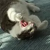 morg - @morganbender - TikTok