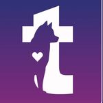 Morgan Benton - @twilighttrainingandgrooming - Instagram