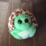 Morgan Blackmore - @monkeygirl_6 - Instagram