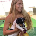 Morgan Bloom Dog Sitting - @morganlovesdoggos - Instagram