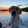 Morgan Bolin - @morganbolin - TikTok