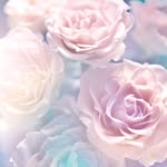 MorganBragg - @morganbragg_love - Instagram