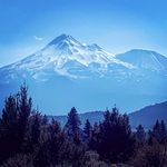 Morgan Branch - @mo_branch - Instagram
