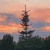 morgan - @morgan.bruce0 - TikTok