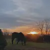 Morgan - @morganbruce1 - TikTok