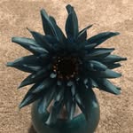 @morganbrumfield_crusades - Instagram
