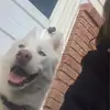 Morgan Bunch - @bunchmorgan101 - TikTok