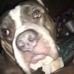 Morgan cantrell - @morgancantrell4582 - Instagram
