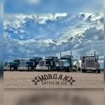 Morgan Cattle Co. LLC Trucking & Hay Sales - @morgan_cattleco_llc - Instagram