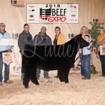 Morgan Cattle Company - @morgancattlecompany - Instagram