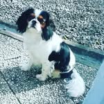 morgan - @morgancatteeuw123 - Instagram