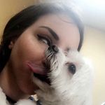 Morgan Chaffin grooming - @pimpmypupgroomsbymorg - Instagram