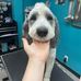 Morgan Chaffin grooming - Facebook