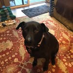 Morgan - @morgan_chenoweth931 - Instagram