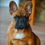 Morgan Cloud - @mcloud_90 - Instagram
