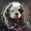 morgancloud90 - @morgancloud90 - TikTok