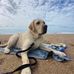 Morgan Coates - Facebook