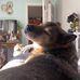 Morgan Cochran - Facebook