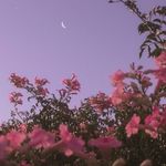 Morgan Coker - @morganncoker - Instagram