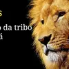 MorganColon - @leannjpv044 - TikTok