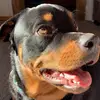 Morgan Connors - @morgan.connors2 - TikTok