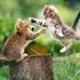 Morgan Conover - Facebook